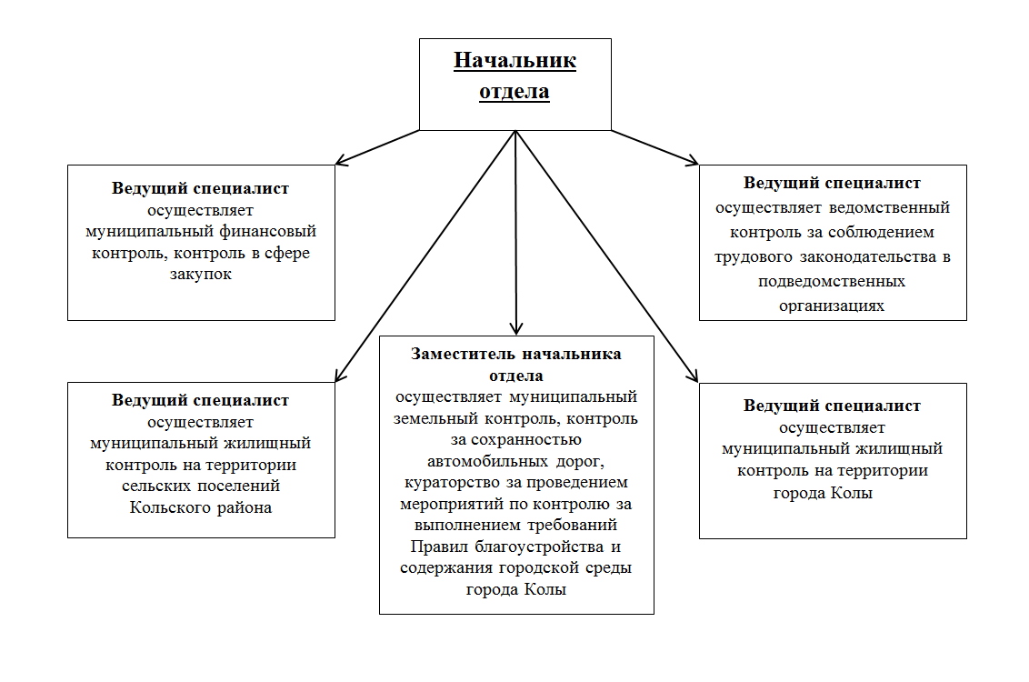 Структура отдела муниципального контроля. Начальник муниципального контроля обязанности. Контроль в администрации района.